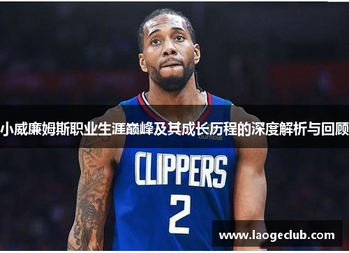 小威廉姆斯职业生涯巅峰及其成长历程的深度解析与回顾 小威廉姆斯职业生涯巅峰及其成长历程的深度解析与回顾