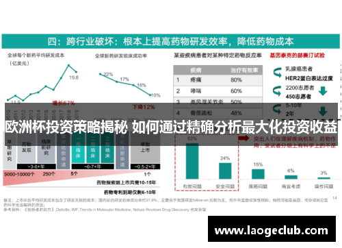 欧洲杯投资策略揭秘 如何通过精确分析最大化投资收益