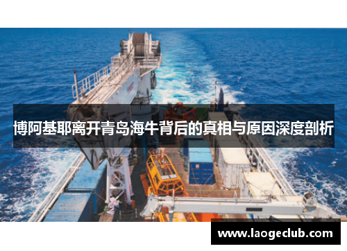 博阿基耶离开青岛海牛背后的真相与原因深度剖析