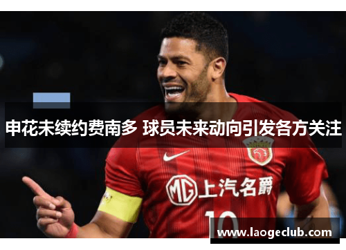 申花未续约费南多 球员未来动向引发各方关注 申花未续约费南多 球员未来动向引发各方关注
