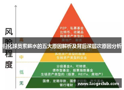 归化球员索薪水的五大原因解析及背后深层次原因分析
