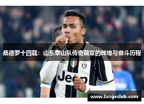 桑德罗十四载:山东泰山队传奇篇章的辉煌与奋斗历程 桑德罗十四载:山东泰山队传奇篇章的辉煌与奋斗历程