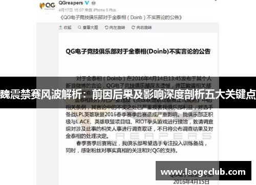 魏震禁赛风波解析：前因后果及影响深度剖析五大关键点