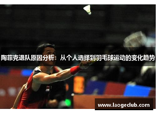 陶菲克退队原因分析：从个人选择到羽毛球运动的变化趋势
