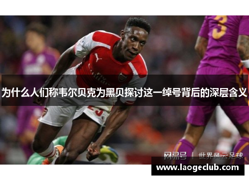 为什么人们称韦尔贝克为黑贝探讨这一绰号背后的深层含义